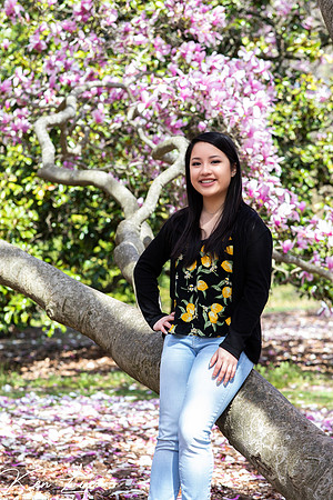 Senior-High-School-Portrait-Sitting-Tree-Pink-Flowers